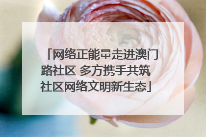 网络正能量走进澳门路社区 多方携手共筑社区网络文明新生态
